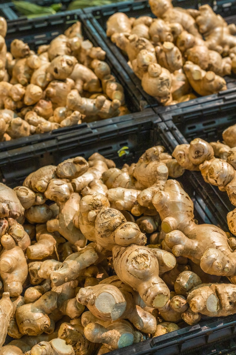 Ginger essential oil