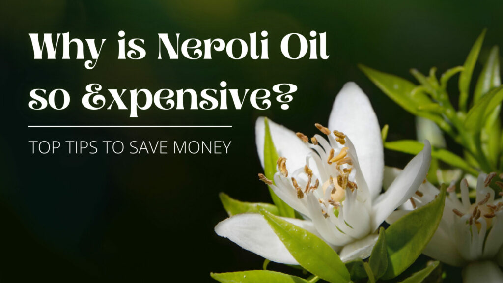 Why is neroli oil so expensive