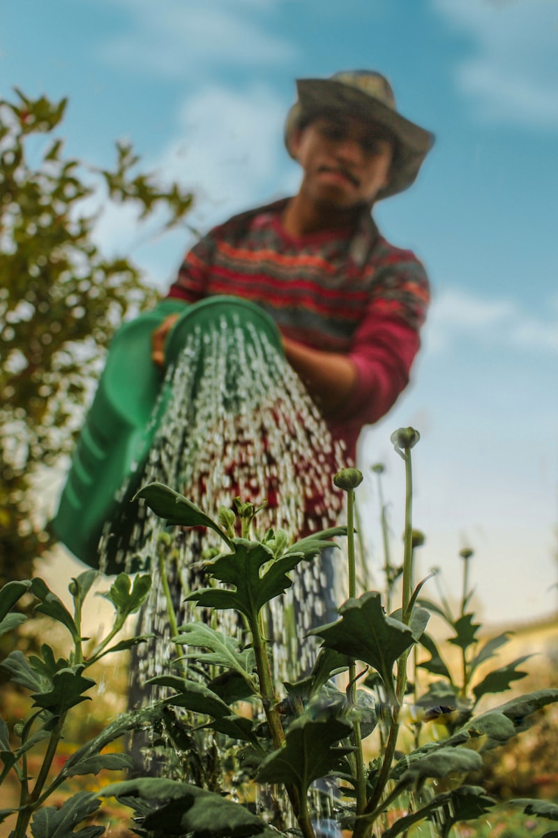 Improving plant health with essential oils