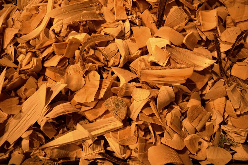 Sandalwood wood chips